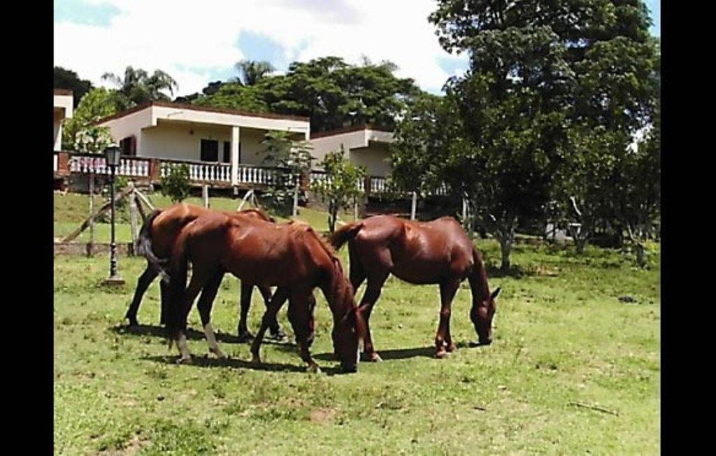 Casa de hóspedes Recanto Do Sossego *